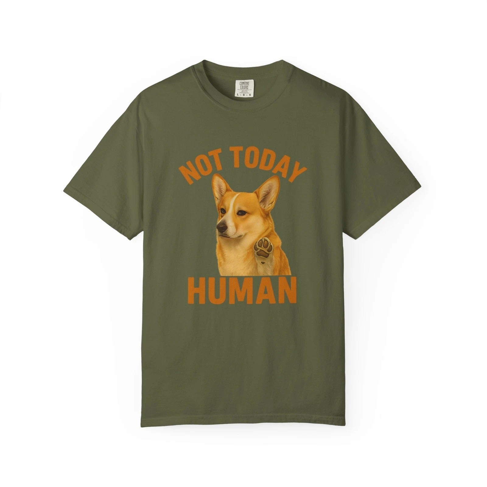 Funny Corgi T-Shirt, Not Today Human Tee, Cute corgi Lover Gift, Unisex T-Shirt,